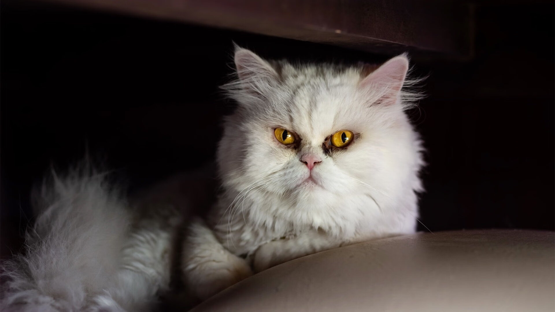 Kaiyun(中国)开云-“弯道飞舞：漂移技巧的极致演绎”，弯道漂移为什么要打反方向