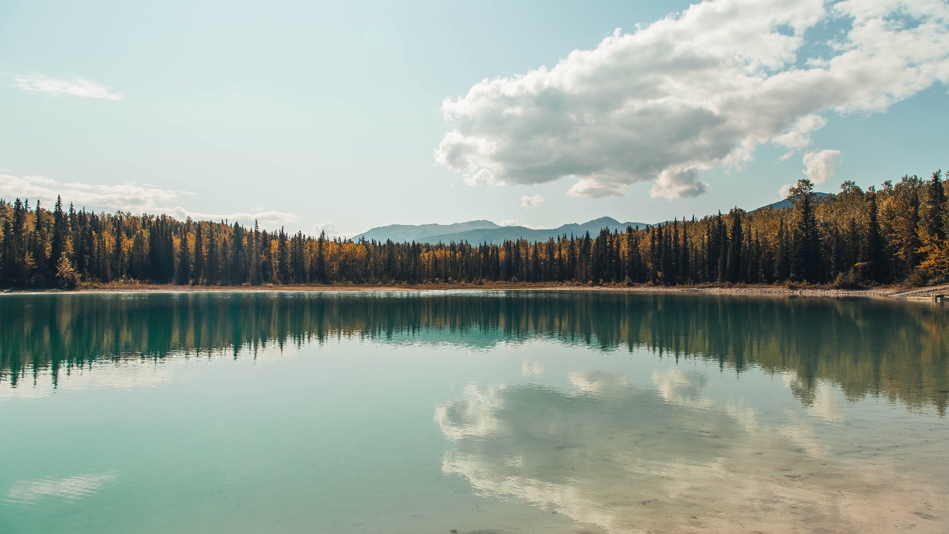 传统与现代结合的篮球元素,成为文化新符号,篮球传统项目