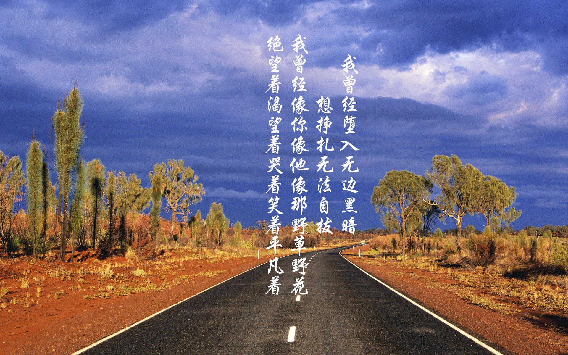 开云体育-国家赛车队新赛季阵容公布，目标冲击世界冠军，国际赛车车队