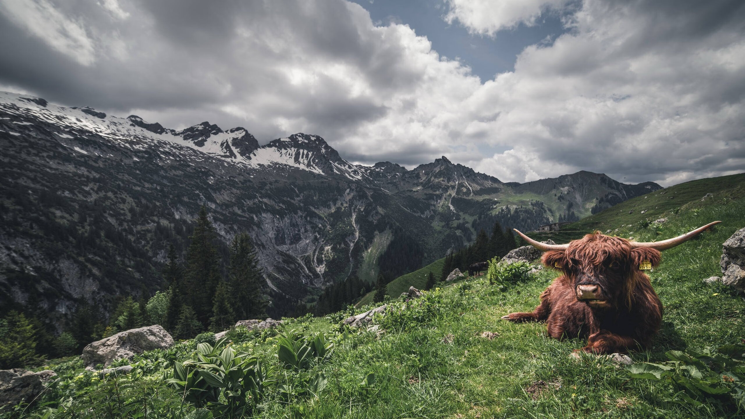 守望先锋 联赛积分榜竞争白热化,守望先锋联赛预测积分