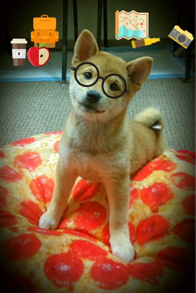 电竞与金融行业的合作共赢：投资理财，市场拓展，电竞产业与其他产业的融合