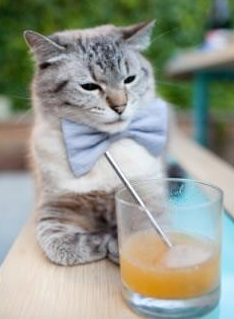 开云·体育官网-青少年“梦想长跑”公益活动在西安连续举办，助力体育全民化，梦想起跑线少儿艺术团