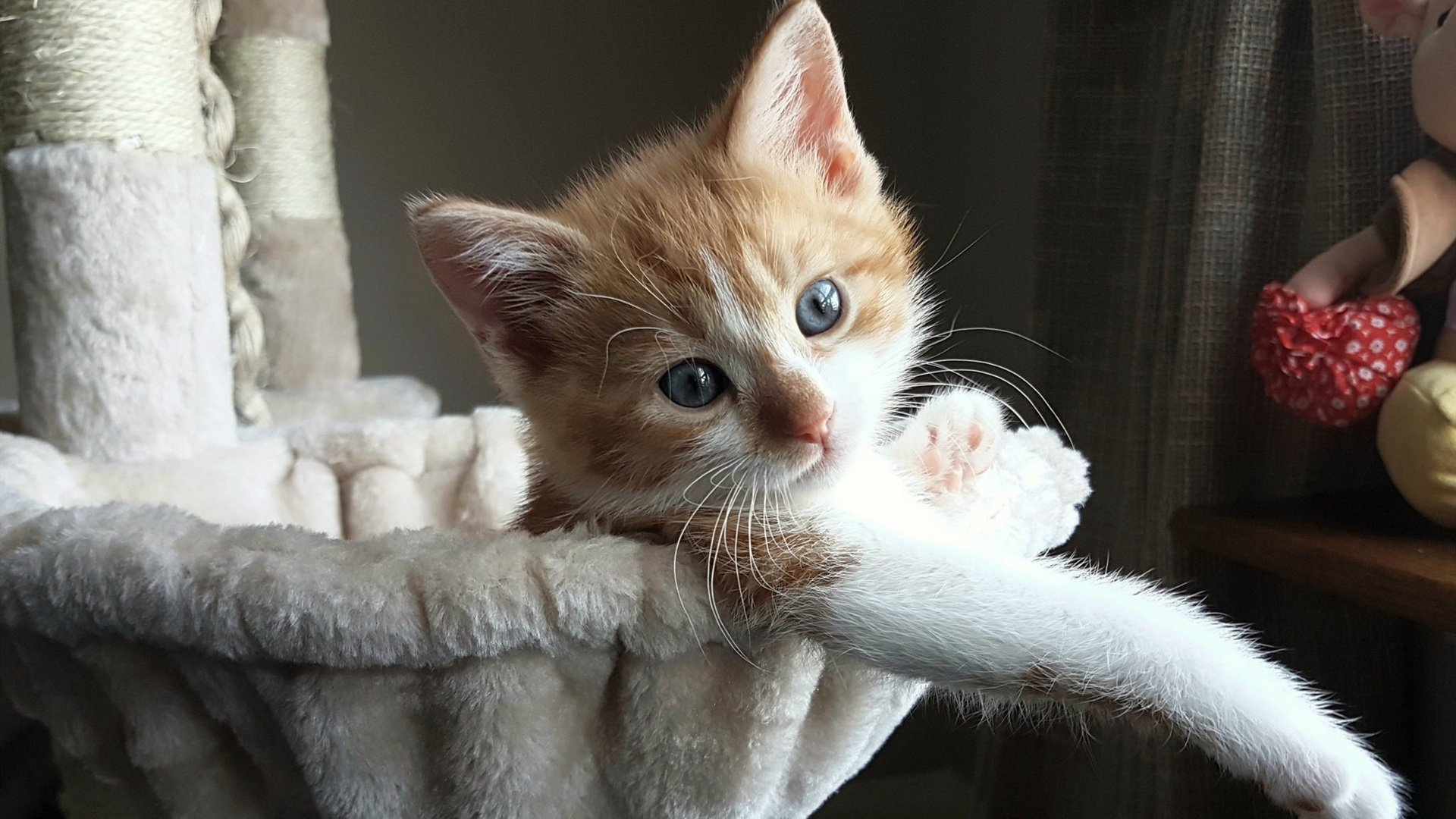 开云官网-公牛险胜尼克斯，关键一役中德罗赞贡献关键助攻，公牛赞助的比赛