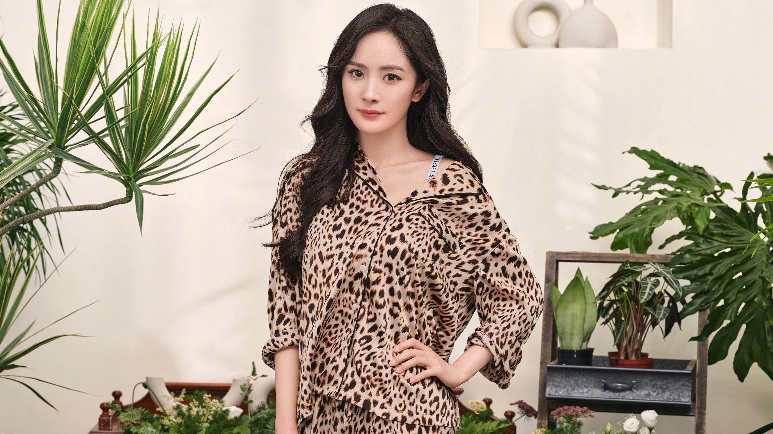 斯文登镇阵型严谨，红军提升排名，斯文登 vs 阿克宁顿