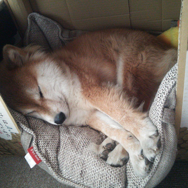 球星们在比赛中大放异彩,带来绝佳表现,球员们在赛场上展现