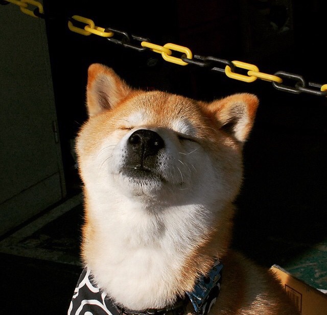 开云网站-篮球职业联赛决出总冠军雄心勃发，篮球赛夺冠