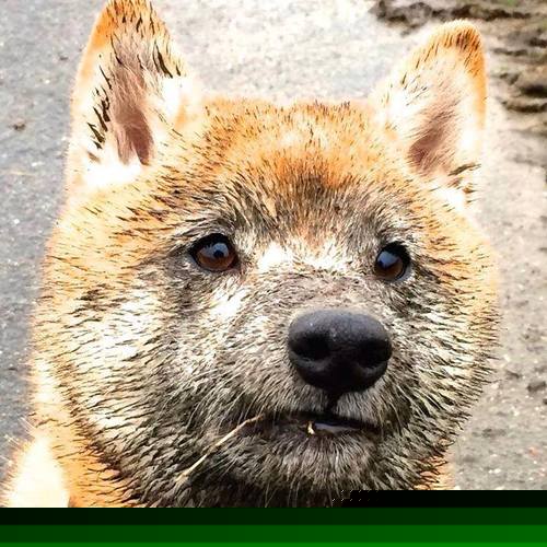 队伍势均力敌展开搏杀，比赛场面精彩纷呈，一场势均力敌的比赛