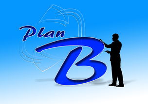 kaiyun官方网站-中国篮球职业俱乐部财务风险控制研究，篮球俱乐部企业组织结构图