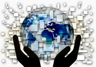 kaiyun.com-中国篮球青训体系课程体系优化方案，青训篮球课程教案大全