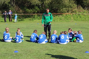 开云体育-德甲球队构建战术模拟平台提升临场应变能力，德甲球队构建战术模拟平台提升临场应变能力