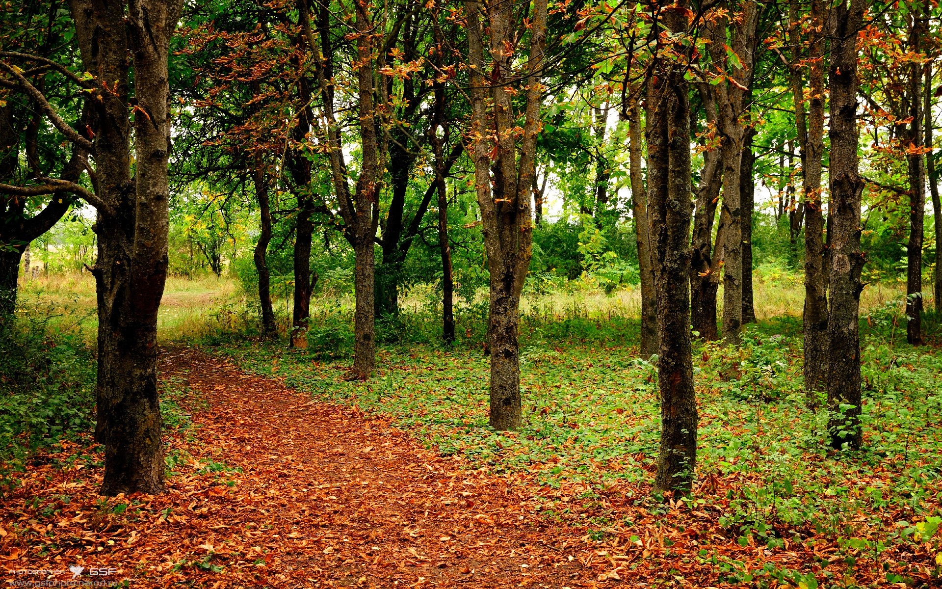 意甲裁判语义分析系统在比赛判罚中的应用研究,意甲第三轮裁判