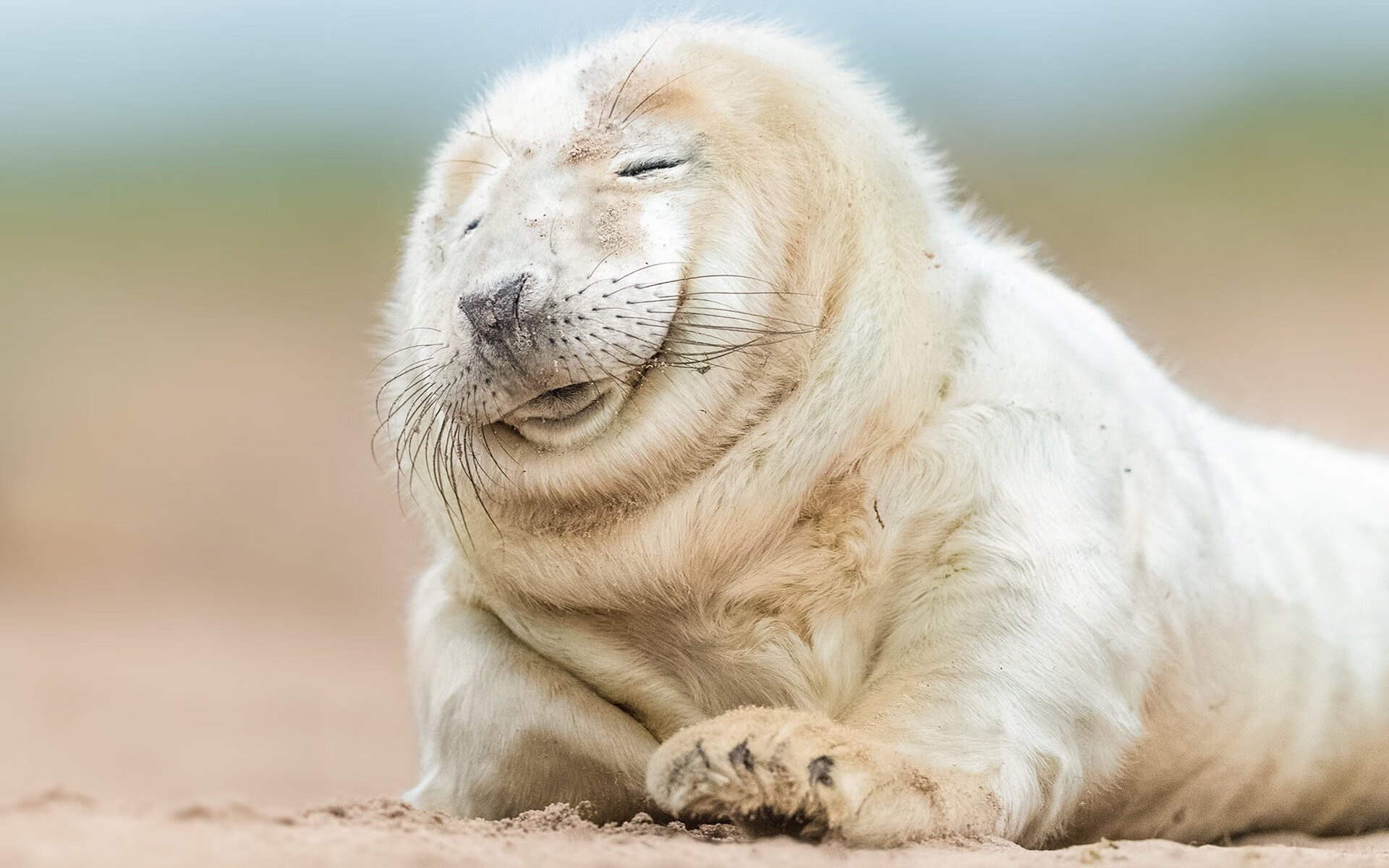 法甲球队利用视频分析提升防守协作与站位效率，法甲 球队