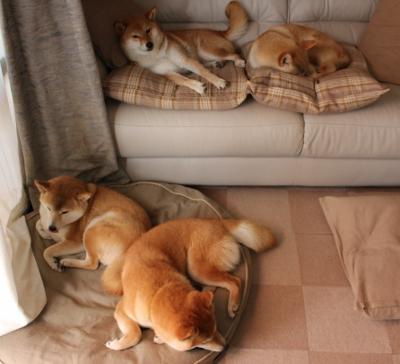 kaiyun登录入口-青少年体育活动组织方案，青少年体育锻炼活动方案