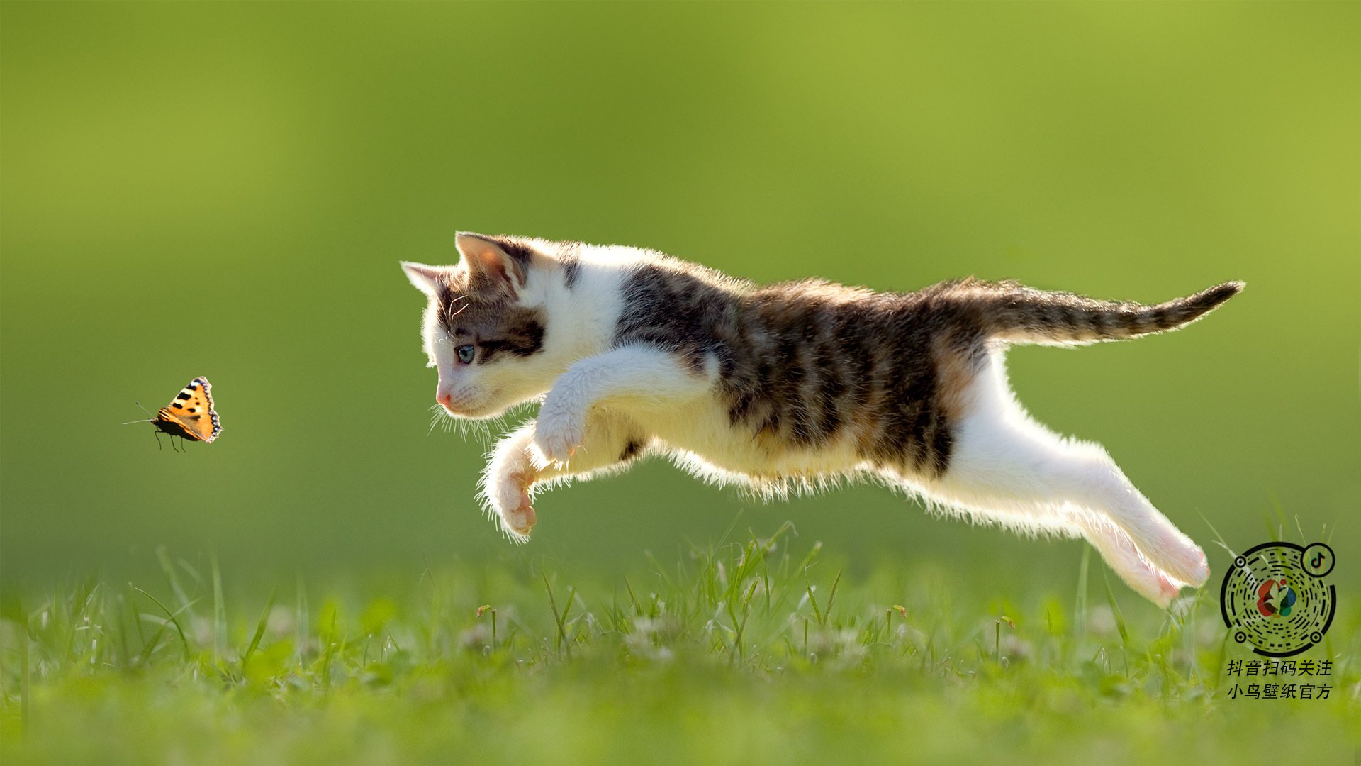 青少年体育运动中的安全教育对策,青少年体育运动中的安全教育对策有哪些