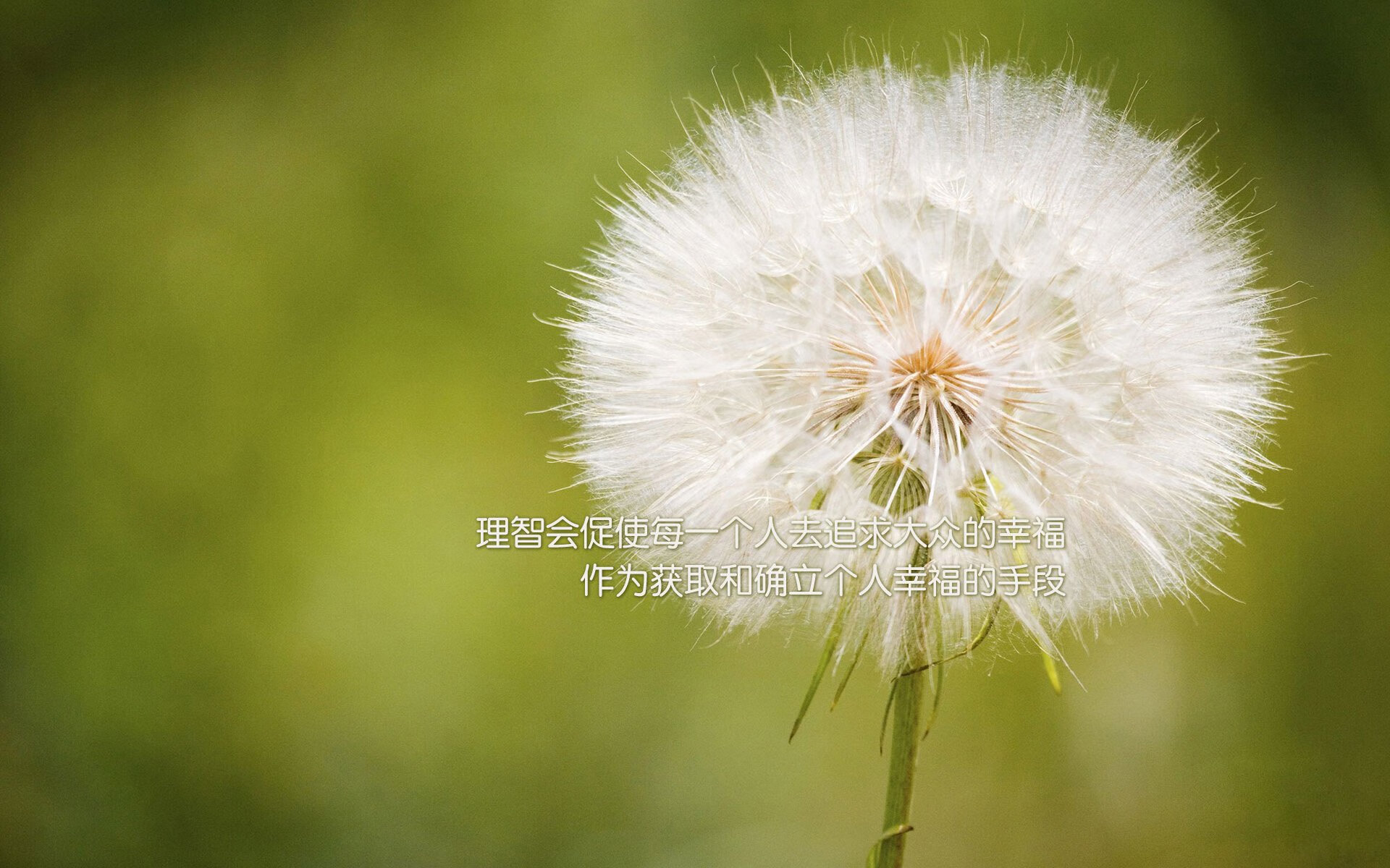 高校运动员心理健康维护机制，运动员心理健康的重要性