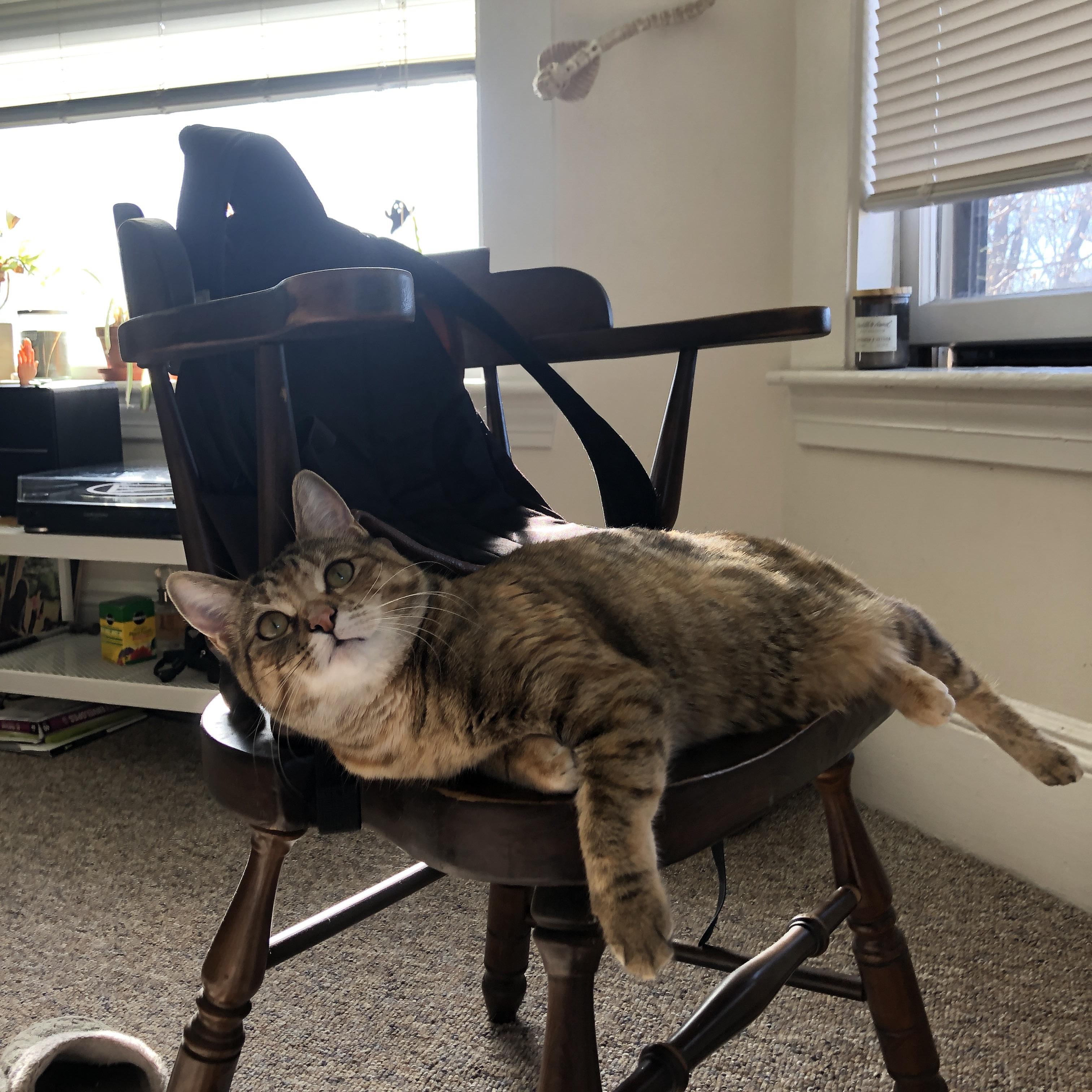 CBA赛季收官 各队总结得失展望未来,cba去年