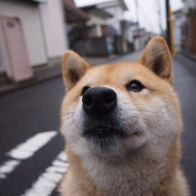 “缆绳滑水:东桃花岛赛场新兴水上运动风靡一时”