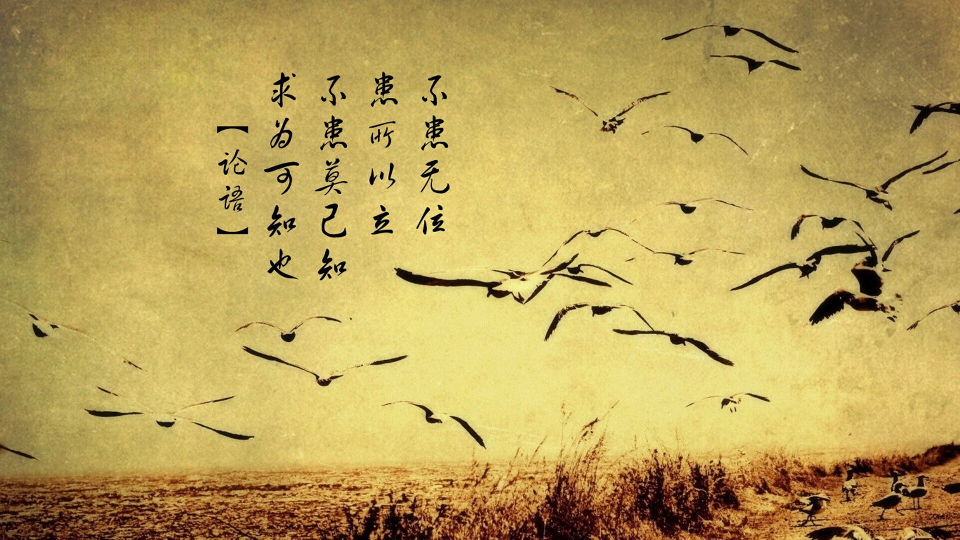 五大联赛是否出现高控球低射门现象频率上升，控球率最高的球队