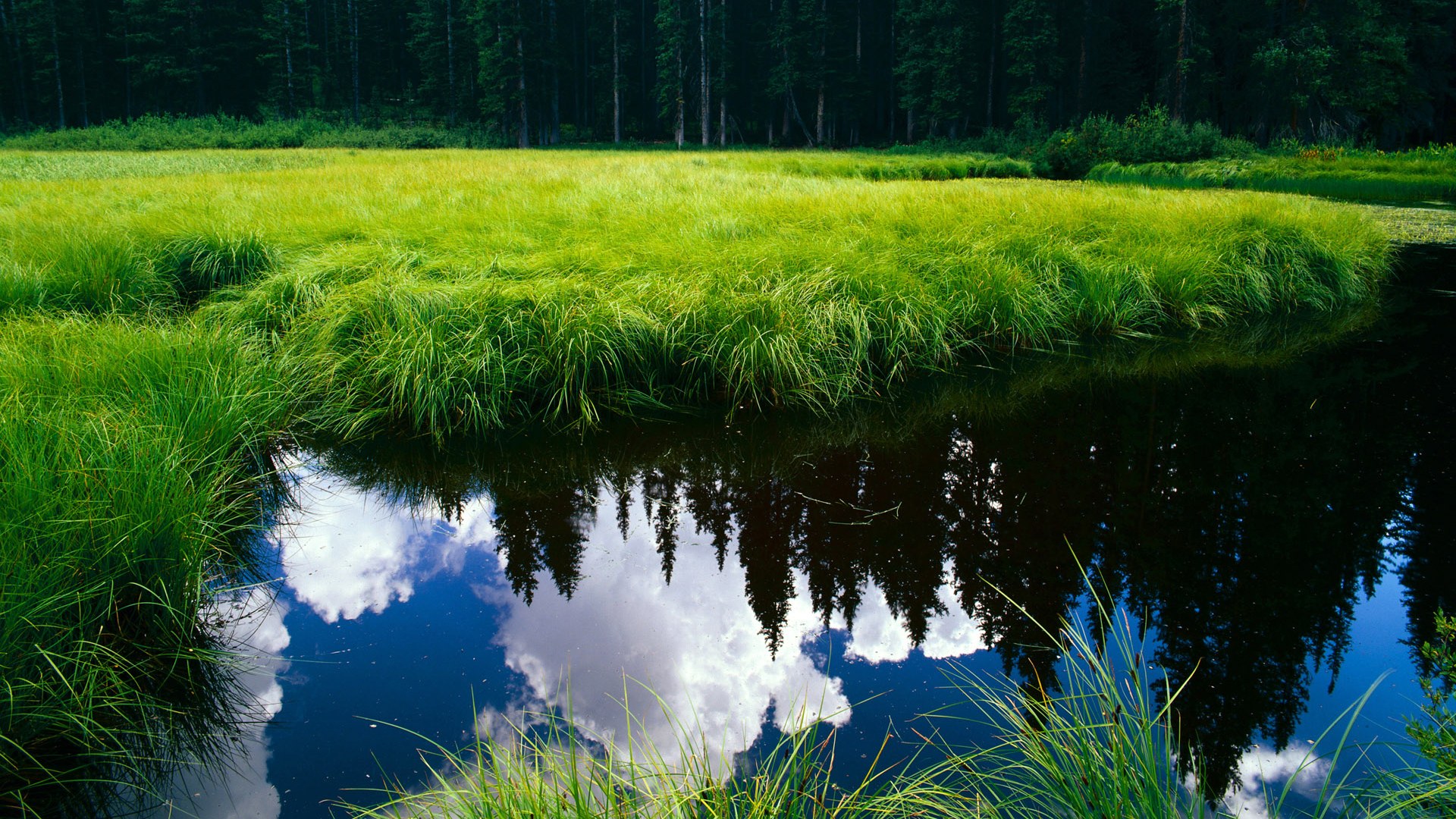 五大联赛球队更换主力阵型频率是否与战绩相关，五大联赛球员变动