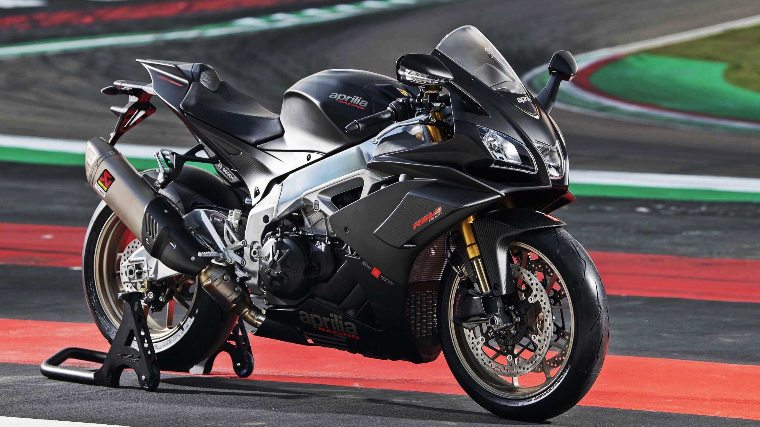 开云官网APP下载-加拿大游泳技术优化助力成绩提升，加拿大国家游泳队