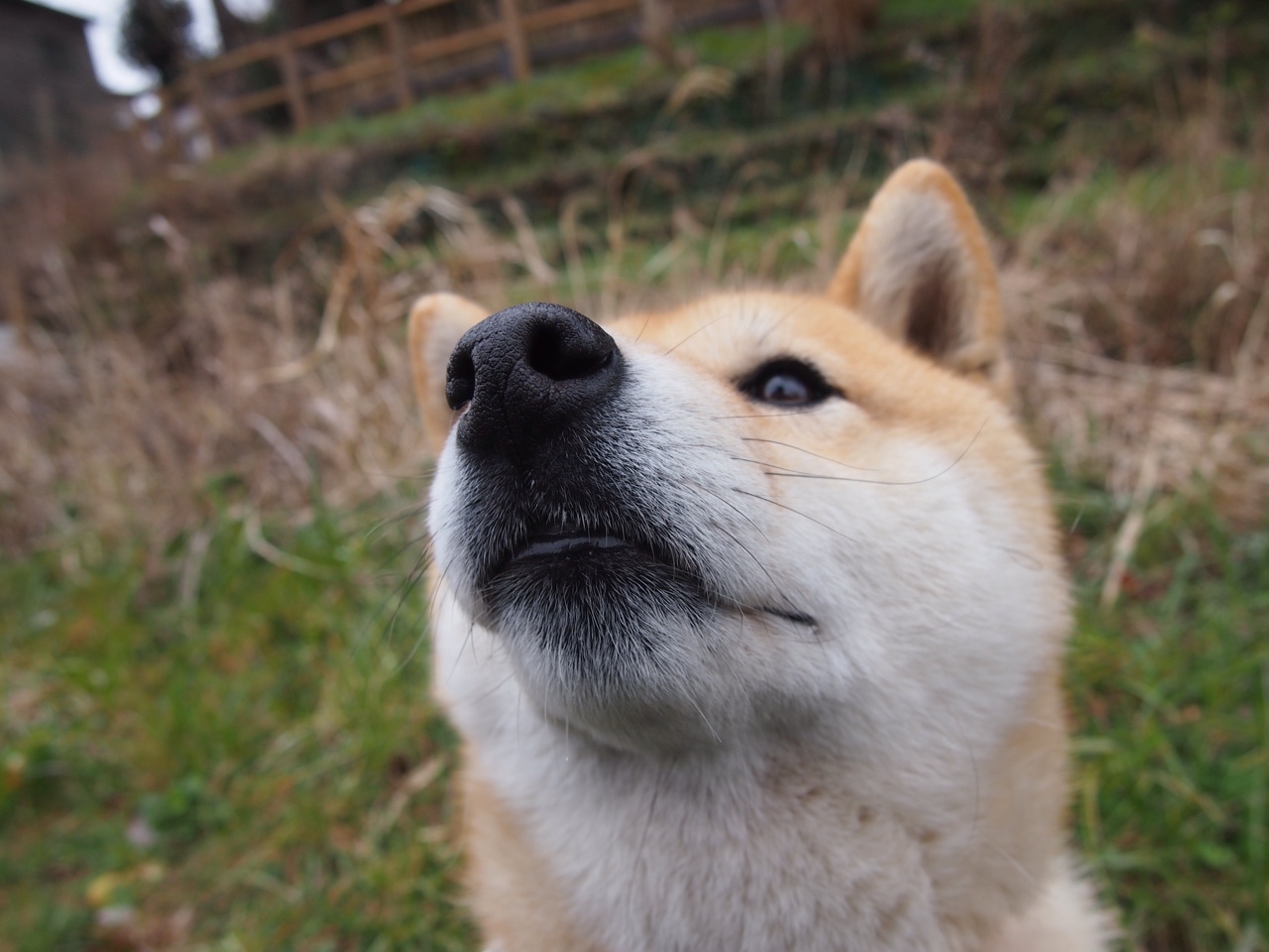 出发水下推进成蝶泳开局关键,水下蝶泳视频