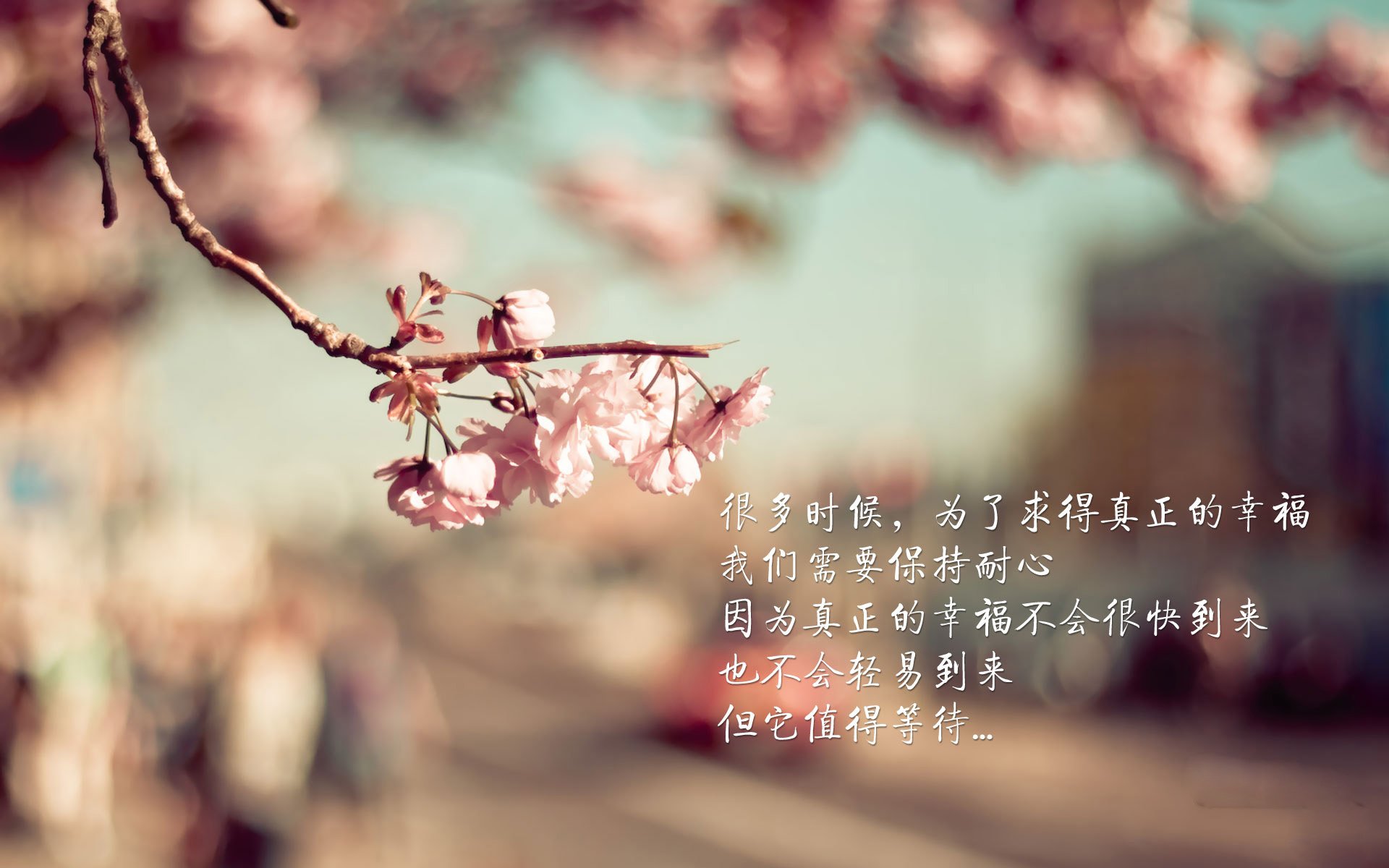 技术细节决定成败:蛙泳世界纪录对比,蛙泳世界纪录是谁