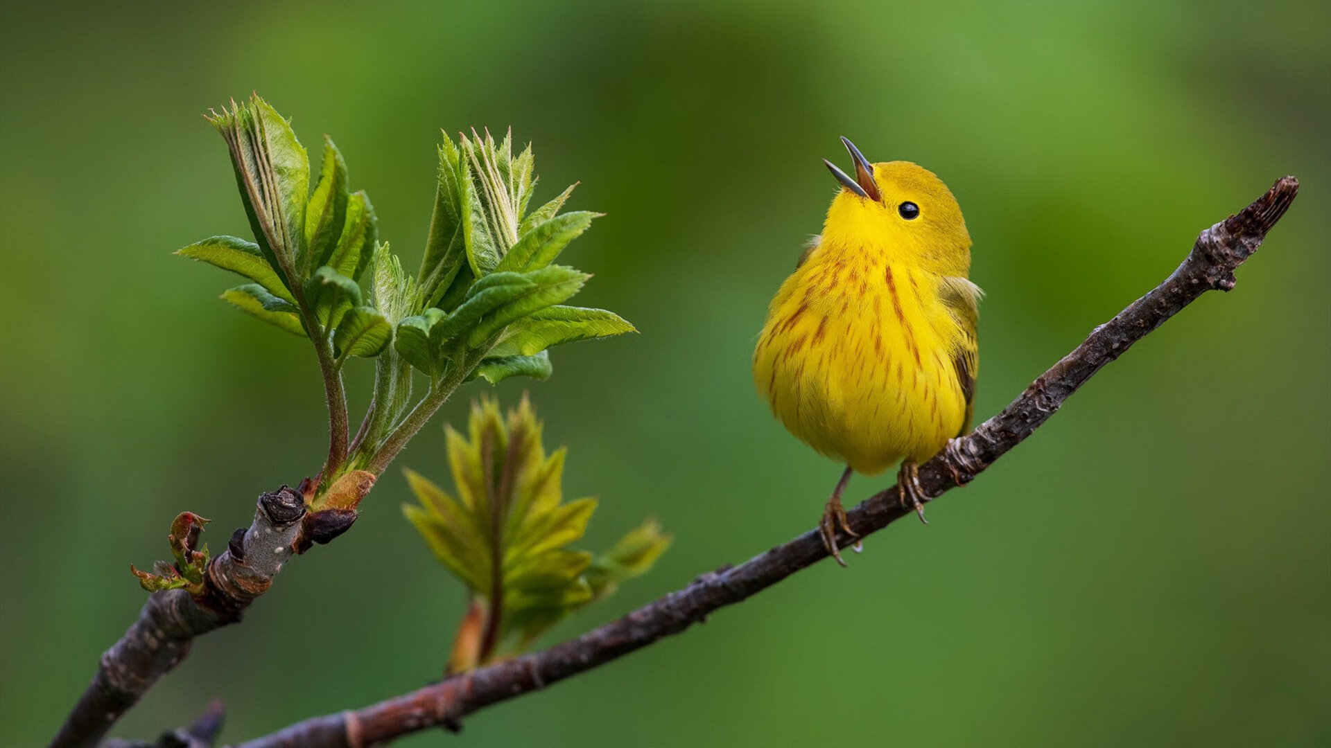 kaiyun网站-球队是否根据战术回合数配置换人节点，足球战术换人