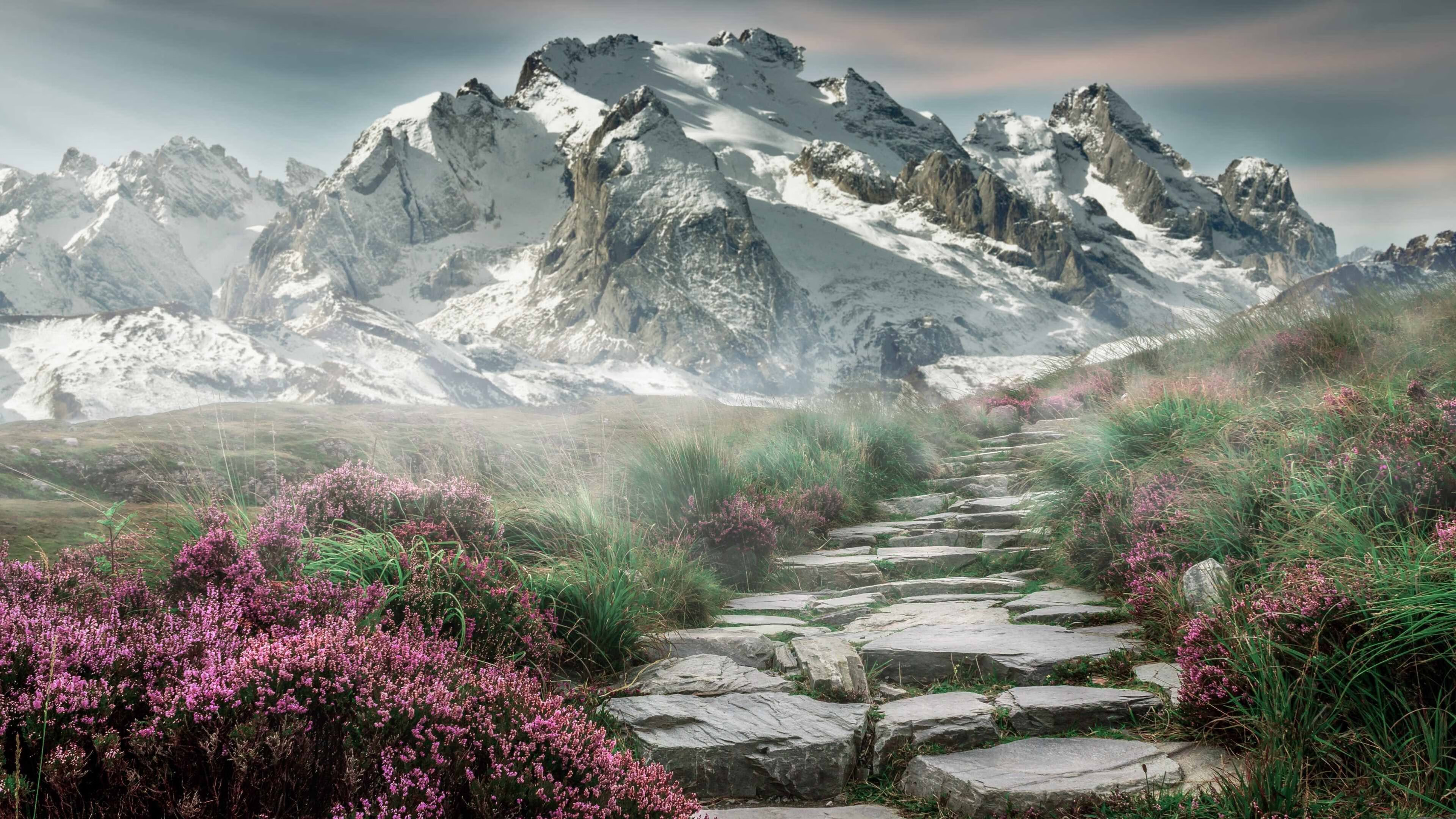 青训课程设置未覆盖心理训练内容,青训模式