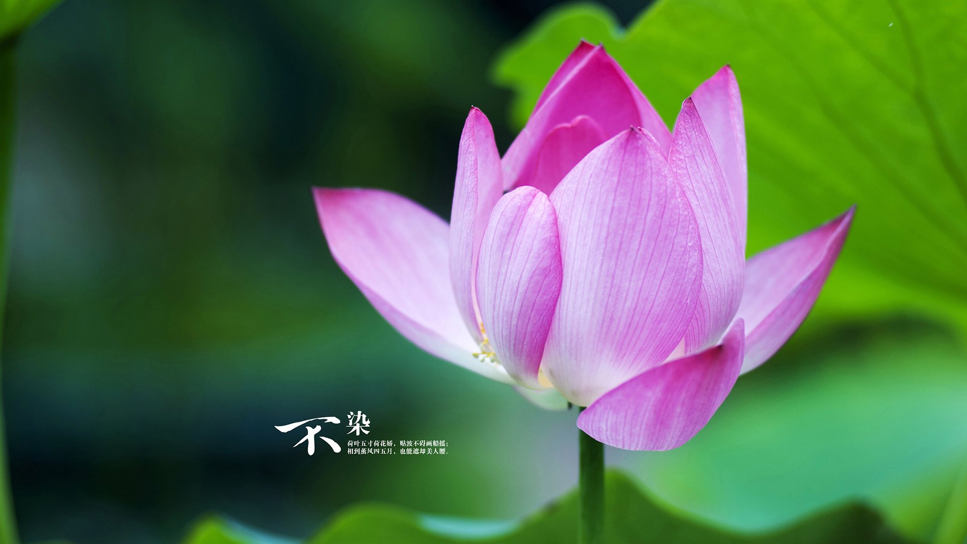 中超重返高人气赛场体现球迷忠诚重燃,中超重启方案再调整