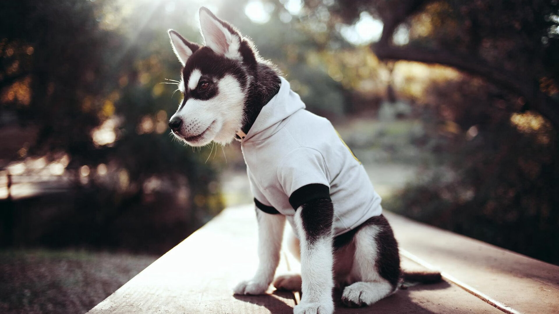 Kaiyun APP-巴尔：以强大的防守和出色的跑位，成为全黑队中场不可或缺的一员