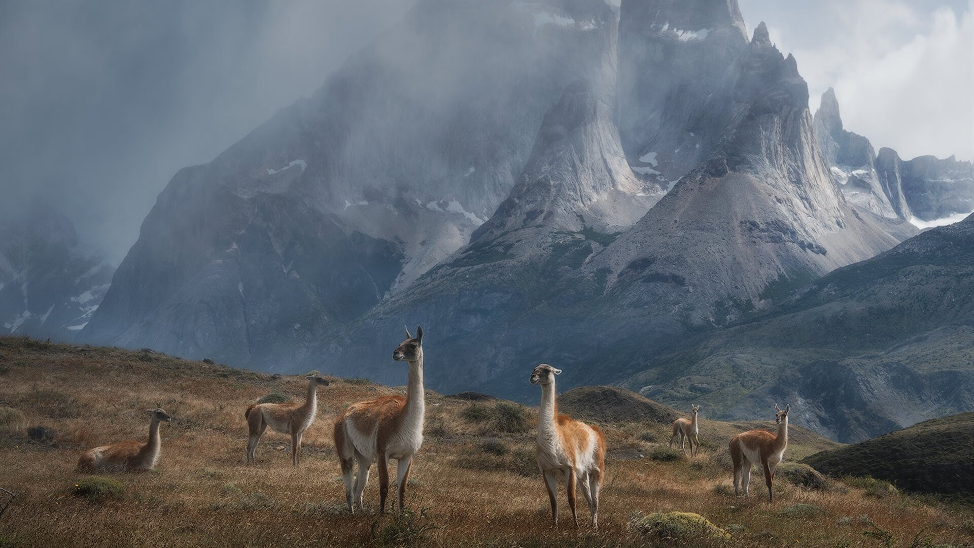 灰熊反击次数减少节奏遭对手压制,灰熊的防守