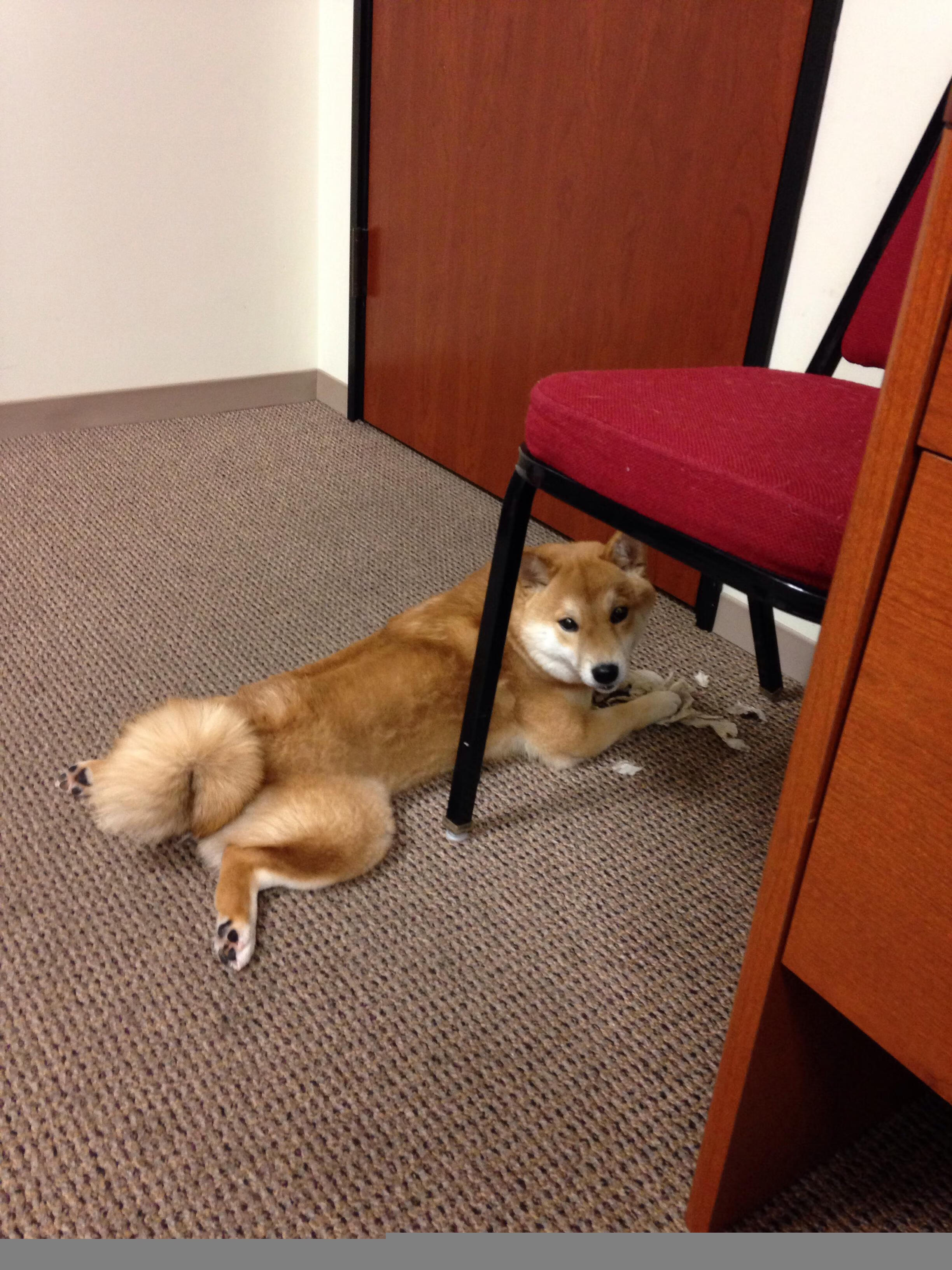 开云中国-瑞·弗兰：冷静的头脑和强大的身体素质使他成为全黑队的核心人物