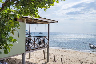 开云官方网站-绿色场馆覆盖智能环保系统，推动全球体育绿色低碳行动，绿色场馆建设